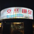 맥주마당 | 합정 홍대 맥주집 [호프마당] 대학시절의 추억이 떠오르는 호프집에서 맛있는 치맥 즐겨보기 내돈내산 후기