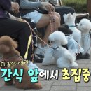스카이개슬 MBC연예