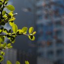 금호동주민센터 이미지