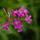 과천청사역 6번 출구 이미지