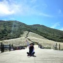 창하농장 이미지