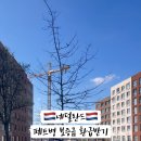 잼잼마트 - 11801 | 잼잼마트