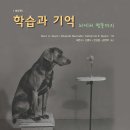 MBTI로통하는법 이미지