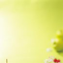 언덕위에 이미지