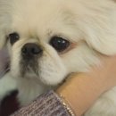 강호농장 스포츠동아