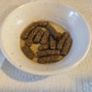 안녕, 펫 | 레오파드게코, 펫테일게코 도마뱀사료 바이탈밀츄 내돈내산 후기