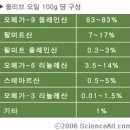 알면 알수록 신비한 올리브 오일 이미지