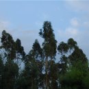 백련스파 이미지