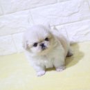 구월2동-16 이미지