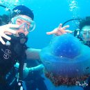 (주)펀섬 이미지