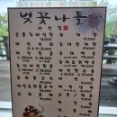 나들가게 - 남구 | [국내여행/맛집] 깊고 진한 국물로 몸보신하기 좋은 버섯요리 전문점 '벚꽃나들버섯집' 솔직 후기!