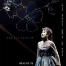 데뷔 40주년 기념 심수봉 콘서트 이미지