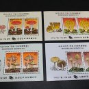 싸리목장 이미지