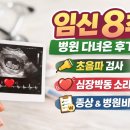 박동 | 임신 8주 병원 다녀온 후기 | 초음파, 심장박동, 증상 변화 총정리