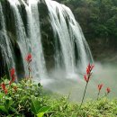 청산푸른환경 이미지