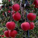 주일목장 이미지