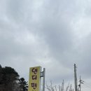 남이섬앤디펜션 이미지