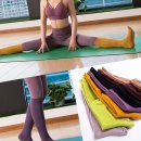 요가테스A 이미지