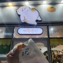 아이존팝 제주함덕점 | 제주도 조천 동쪽여행코스 고양이소품샵 기념품 제주냥이 함덕점