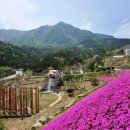 산청 명상, 참된 명상 이미지