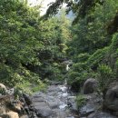 카페 담 이미지