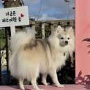 엔젤펜션 이미지