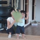 동선농장 이미지