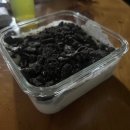 대동동물병원 | 호로록 지나가버린 2월