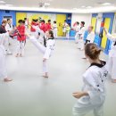 대룡태권도장 이미지