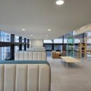 설렘고양이카페 이미지