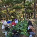 해든어린이집 이미지