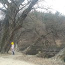 남산면 사무소