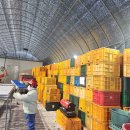 루니농장 이미지