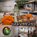 감성카페 서귀포 망고빙수 베이커리 카페 라룬블루 La lune bleue 제주산 애플망고로 만들어주는 수제...