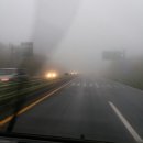 제주와요 이미지