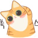 빅스타피자 광주쌍촌점 이미지