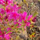 풍수부동산중개사무소 이미지