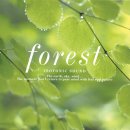 forest 이미지