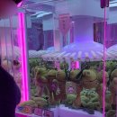 TOY인형뽑기 이미지