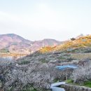 명산농원