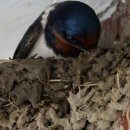 수옥경로당 이미지