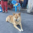 오복건어물 이미지