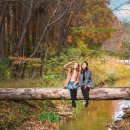 (주)경주산림환경 이미지