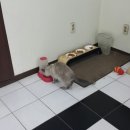 두리동물클리닉 이미지