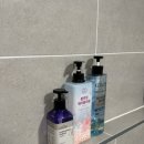 바벨하우스 월성점 이미지