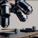 덕수정형외과의원 이미지