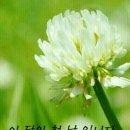 하이볼링 이미지