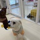 힐링멍텔 이미지