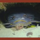 지리산휴게소 이미지