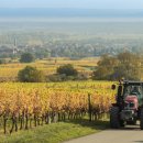 고탄산들미 이미지